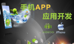 手機app開發11大步驟、技術人員、常用接口